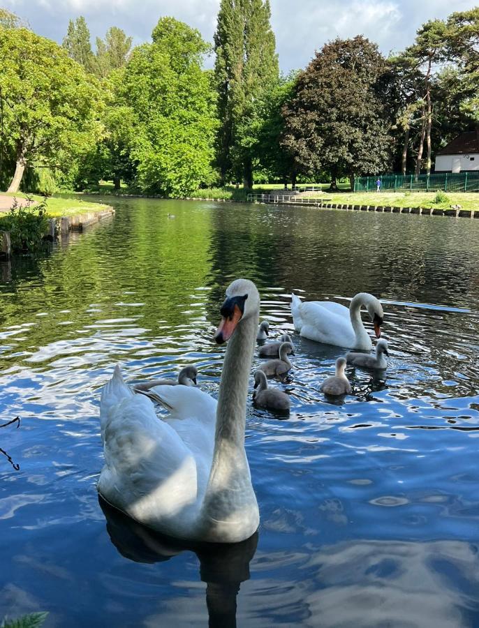 Beddington Park Lodge West Wallington Luaran gambar
