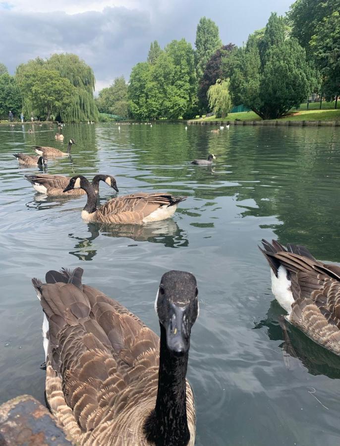 Beddington Park Lodge West Wallington Luaran gambar